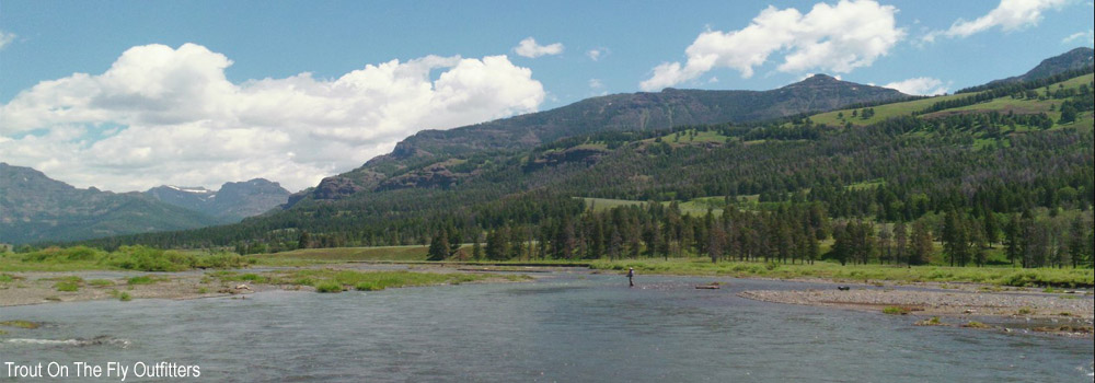 Fly Fishing on Soda Butte Creek in Yellowstone National Park