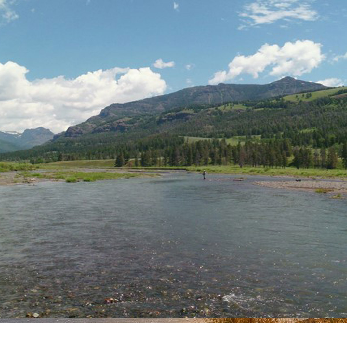 Trout On The Fly Outfitter in Yellowstone National Park