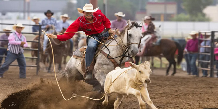 Big Sky Pro Rodeo Great Falls Montana