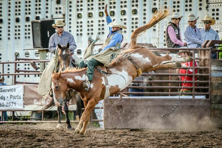 Brash Rodeo Columbia Falls Montana