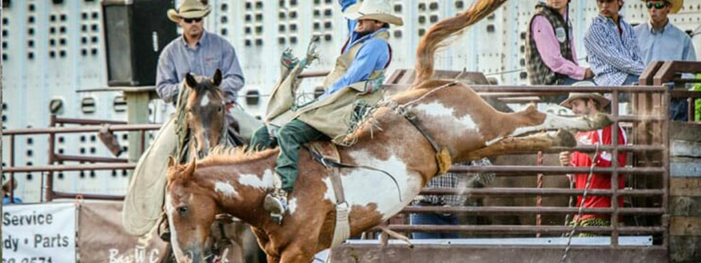 Brash Rodeo in Columbia Falls, Montana