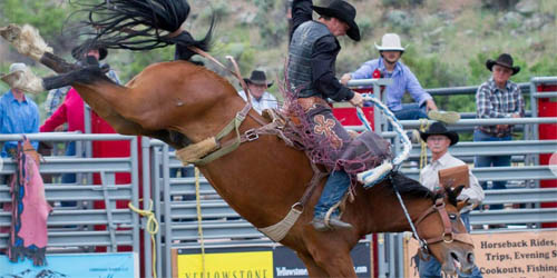 Gardiner Montana Rodeo
