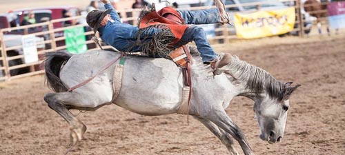 White Sulphur Springs, Montana Rodeo